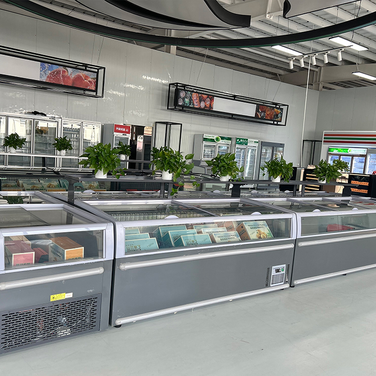 Ticari Sandık Tipi Dondurucu A - Commercial Chest Freezer incelemesi ve fiyatı