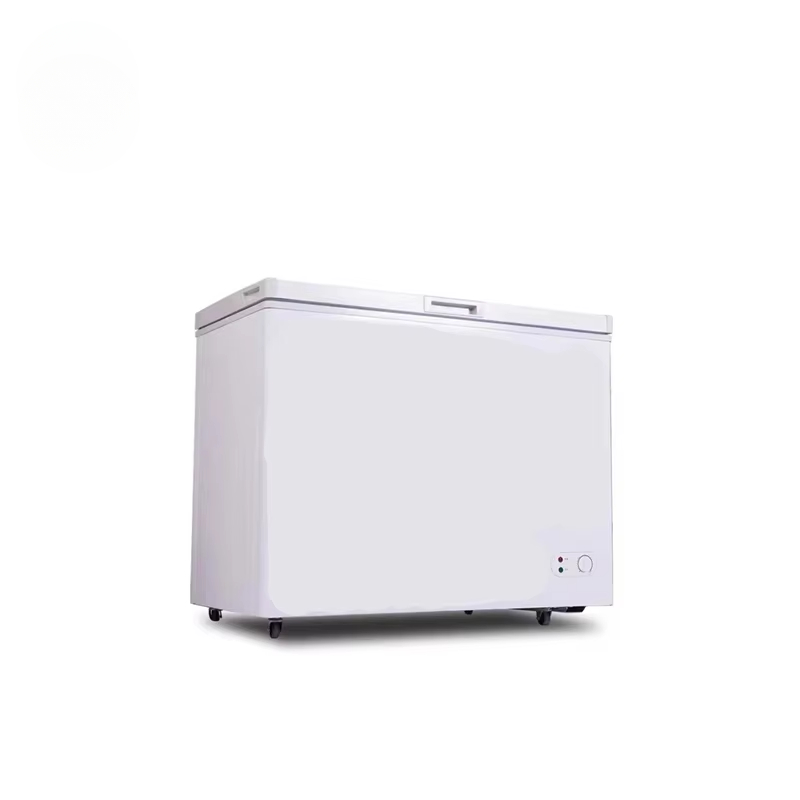 100 ~ 300 Litre Küçük Kapasite - Commercial Chest Freezer incelemesi ve fiyatı